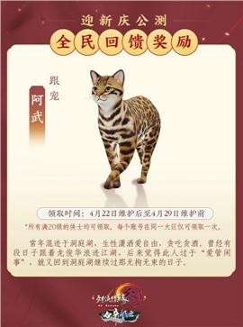 厦门天龙八部私服